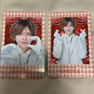 RINDO SHOP 러브시크 랜덤 트레이딩 카드 사쿠라 2장 세트