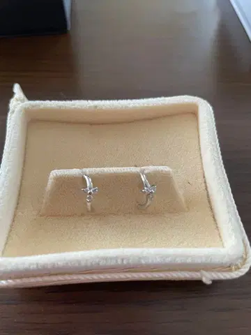 반돔 아오야마 플라티나 귀걸이