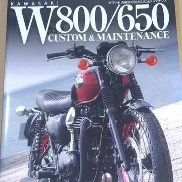 가와사키 W800/650 커스텀 & 관리