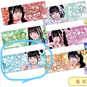 무지개깃털 미니 최애! 페이스타월