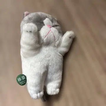 고양이 봉제 인형 손을 올린 포즈