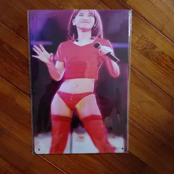 모리타카 치사토 양철 간판 새상품