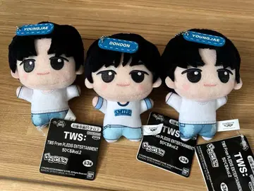 TWS SD 인형 도훈 영재 3체 세트