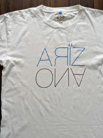Y2K GDC ARIZONA 티셔츠 L 당시 물건 그랜드 캐니언