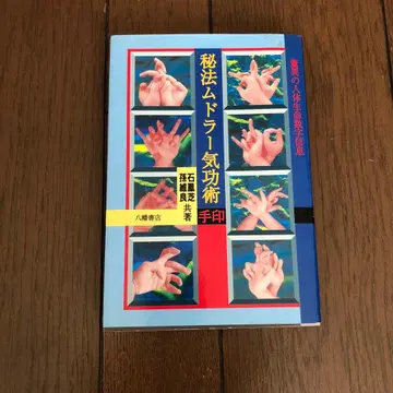 비법 무드라 기공술 이시바시 미치유키 저