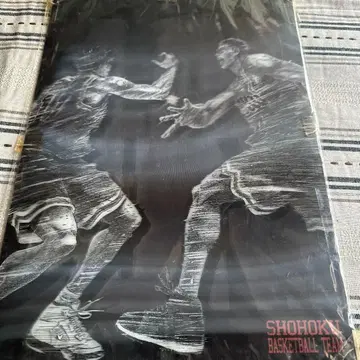 슬램덩크 3D 아트 패널 2장 세트 사쿠라기 루카와