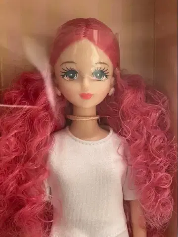제시카 리카짱 캐슬 제니 프렌드 캐슬 컬렉션