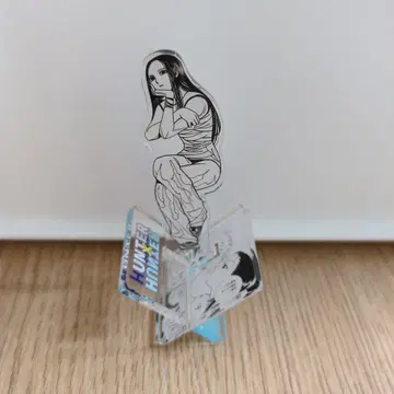 헌터헌터 이르미 아크릴 크로스 피규어 컬렉션