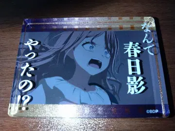 MyGO!!!!! 아크릴 블록 나가사키 소요