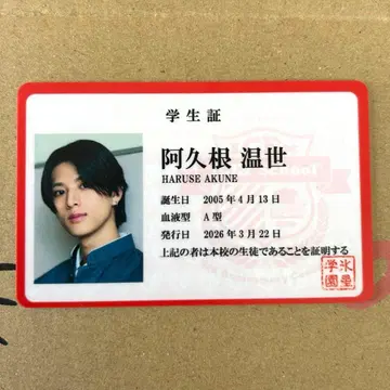 ICEx School 아쿠네 온세 빙성학원 학생증