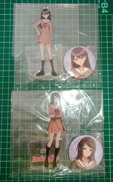 뱅드림 MyGO AveMujica 시이나 타키 하치만 카린