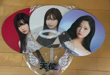 GISELLE 부채 묶음 판매