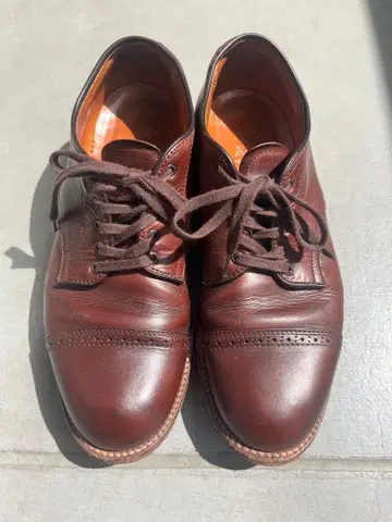 알든 스트레이트 팁 6.5D 다크 브라운