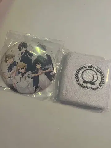 컬러풀 피치 팬미팅 화이트팀 응원 굿즈 (트레이딩 카드 제외)