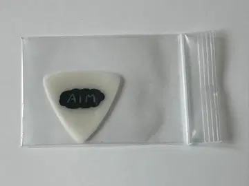 아이묭 2019 SSS 투어 피크 본인 사용품