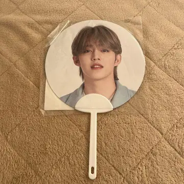 Seventeen 하나비 부채 승철 에스쿱스