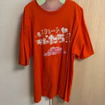 러브시크 타로 최애T