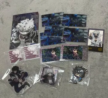 나의 히어로 아카데미아 히로아카 다비 세트