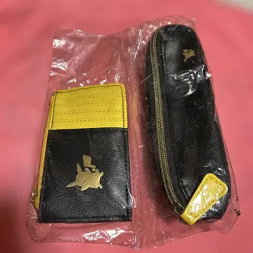 포켓몬 smart 2020년 1월호 증간 카드 케이스 펜 케이스 피카츄