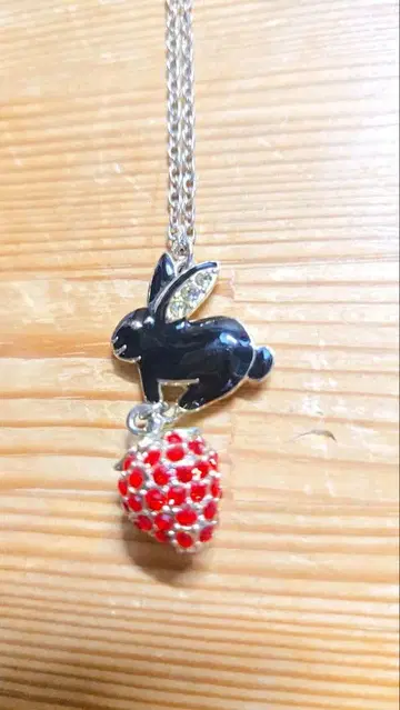 ANNA SUI 토끼와 이치고 목걸이