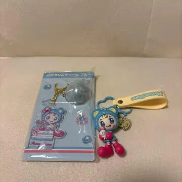 블루베리에 아크릴 참 세트