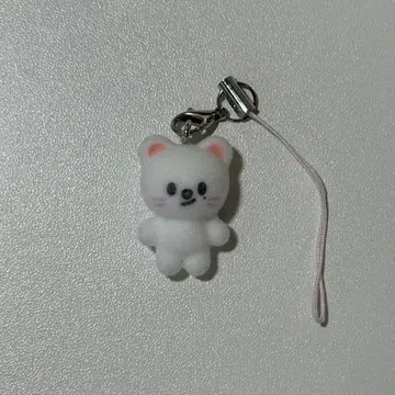 131. Straykids 현진 미니 참