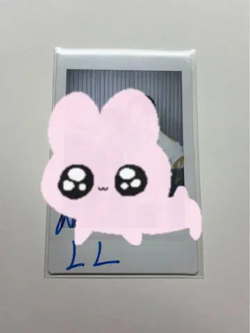 타카라노비이도로 친필 사인 폴라로이드 이와세 히로시 코니시 에이토