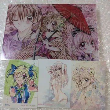 타네무라 아리나 아크릴 아트 패널 원화전 복권