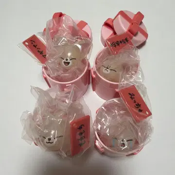 StrayKids 푹신푹신 벌스데이 클리어링 아이엔 4종 컴프