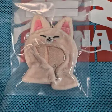 스키즈 아이엔 폭시니 의류