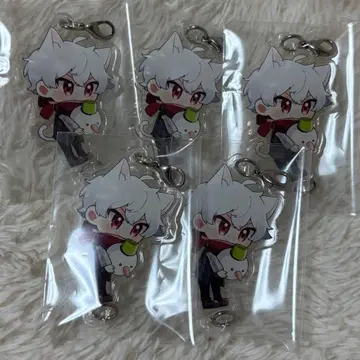 ZETA 카즈고양이 kznk
