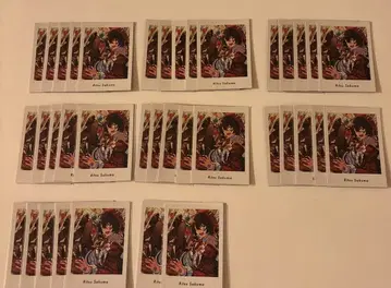 사쿠마 리츠 파샤츠