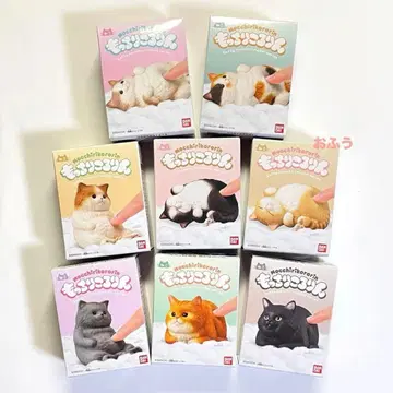말랑말랑 동글동글 고양이 고양이 컴플리트 전 8종 미니어처 피규어