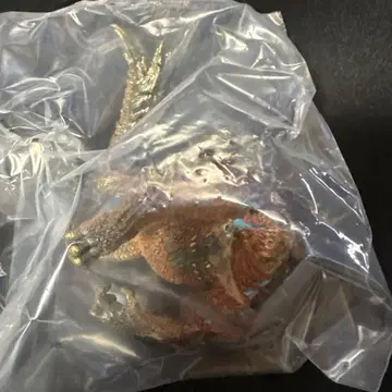 피규어 스탠다드 모델 plus 아자라칸 몬스터 헌터