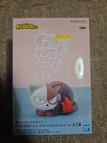 Fluffy Puffy 쇼토캣