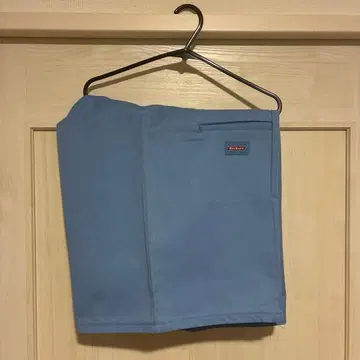 Dickies 스카이블루 워크 팬츠 사이드 포켓 포함