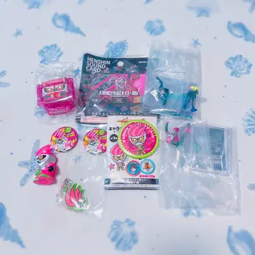 가면라이더 이그제이드 호죠 에무 캔뱃지 굿즈 모음