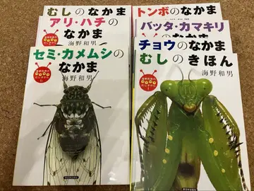 벌레 친구 그림책 시리즈 7권 세트