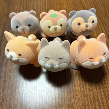 만주 너구리 여우 치베스나, 여우, 페넥, 너구리