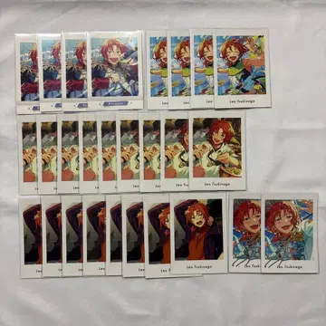 츠키나가 레오 앙스타 파샤츠