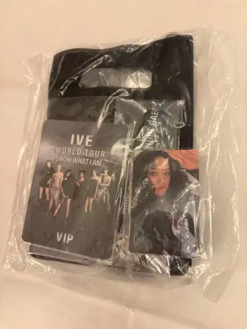 IVE WORLD TOUR SHOW WHAT I AM VIP 패스