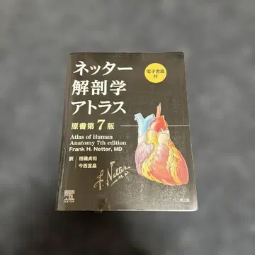 네터 해부학 아틀라스 [전자책 포함] (원서 제7판)