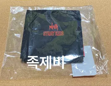 Stray Kids 스키즈 Hi-STAY 미니 스퀘어 파우치