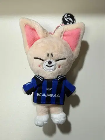 Stray kids karma skzoo ver 폭시니