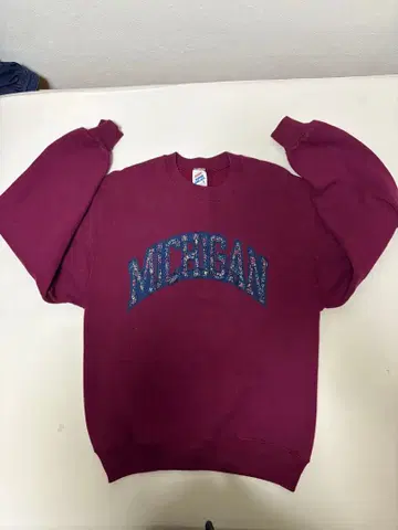 jerzees 슈퍼 맨투맨 MICHIGAN 칼리지 와펜 보르도