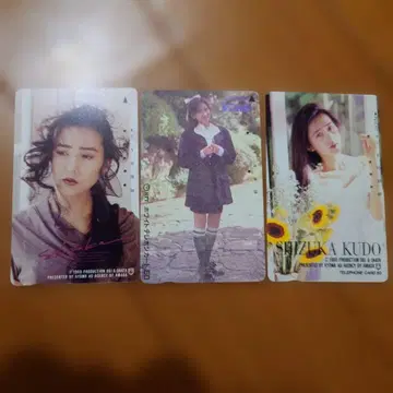 [ 기사용 ] 쿠도 시즈카 전화 카드