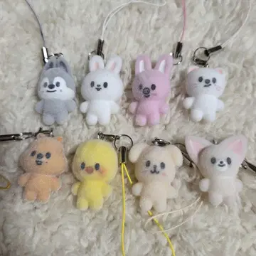 Straykids 스키즈 skzoo 팬미팅 미니 참 굿즈