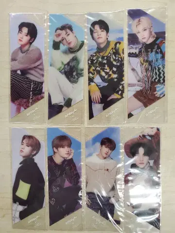 Stray Kids 클리어 북마크 컴플리트