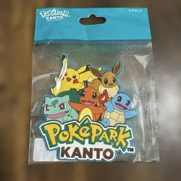 포켓파크칸토 마그넷