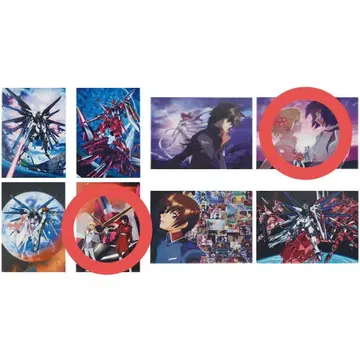 건담 SEED 제일복권 E상 비주얼 매트 아스란 카가리